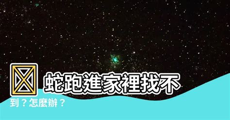 蟬跑進家裡|【蟬跑進家裡】蟬跑進家裡，別慌！教你3招輕鬆解決「蟬鳴之亂。